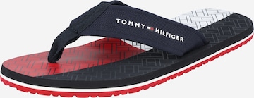 TOMMY HILFIGER Zehentrenner in Blau: predná strana