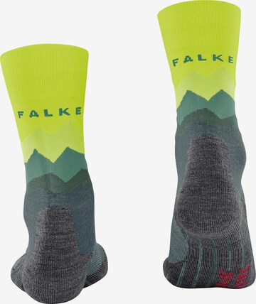 FALKE Athletic Socks 'TK2 Crest' in Grey