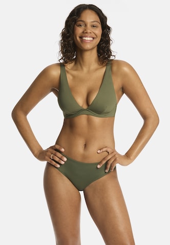 SEA LEVEL Triangel Bikinitop 'Longline Essentials' in Grün