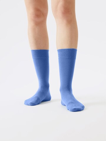 Von Jungfeld Socks 'SIGNATURE Set' in Blue