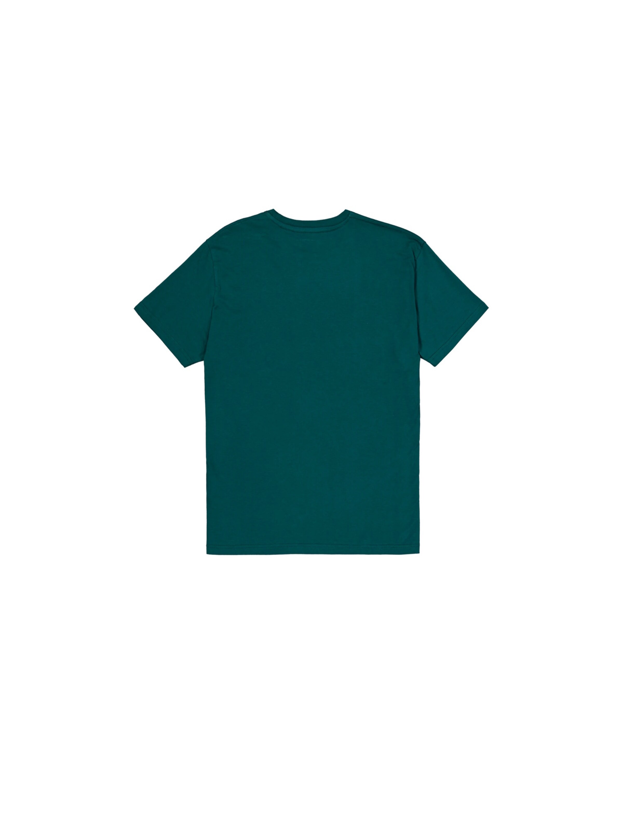 ALPHA INDUSTRIES Shirt 'Basic' in Groen