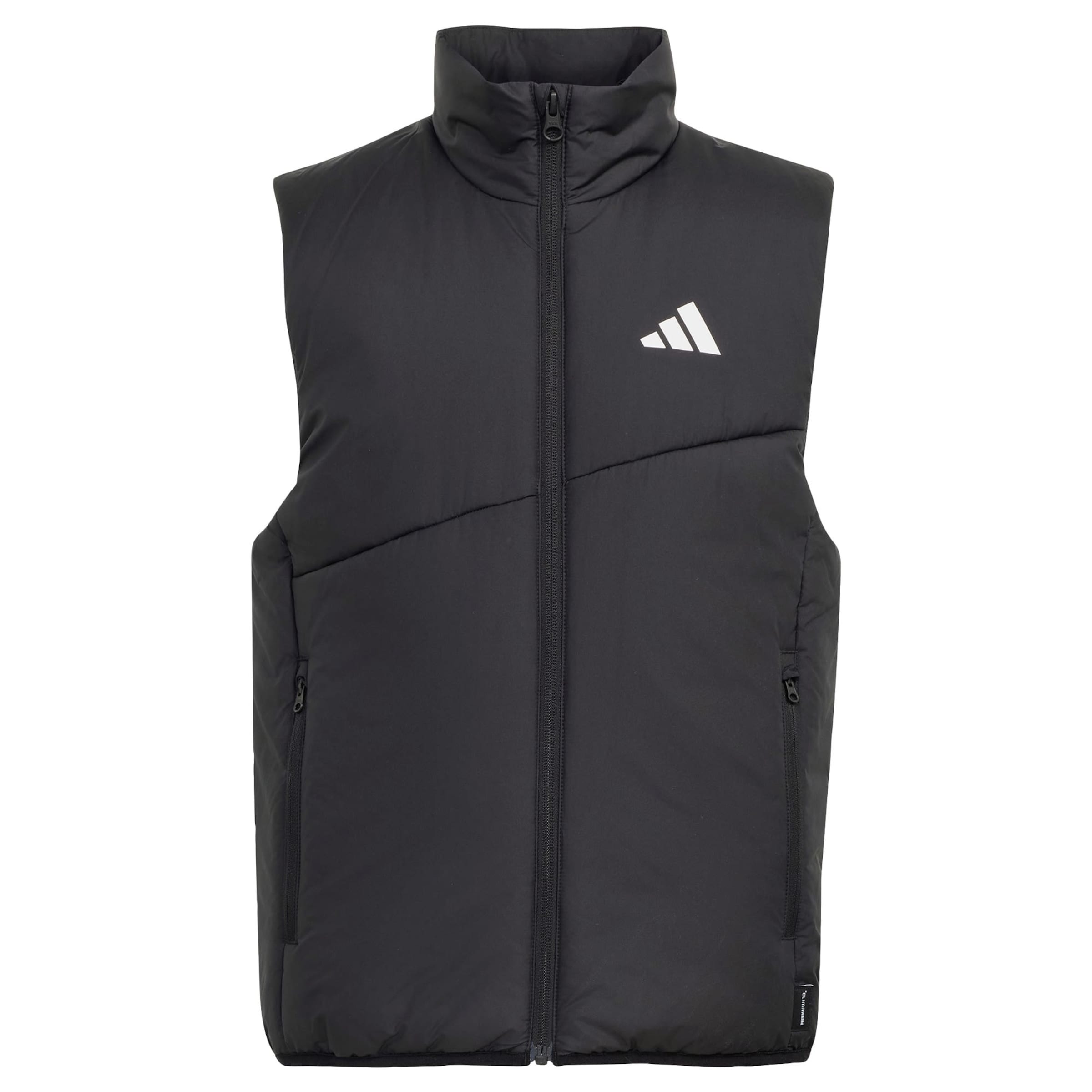 ADIDAS TERREX Sports vest in Black: front