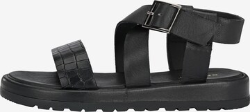 Crickit Sandals 'JADA' in Black