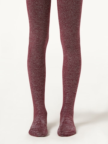 CALZEDONIA Strumpfhosen 'Thermo' in Rot: Vorderseite
