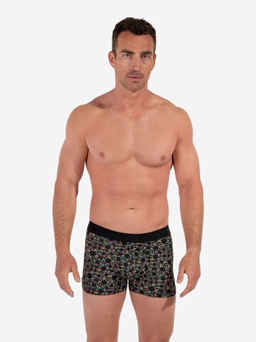 Boxers ' Boxer Briefs Red Rock ' HOM en mélange de couleurs : devant