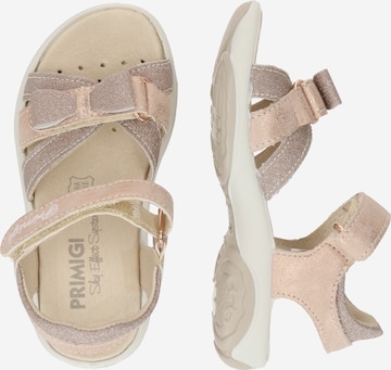 PRIMIGI Sandals in Pink