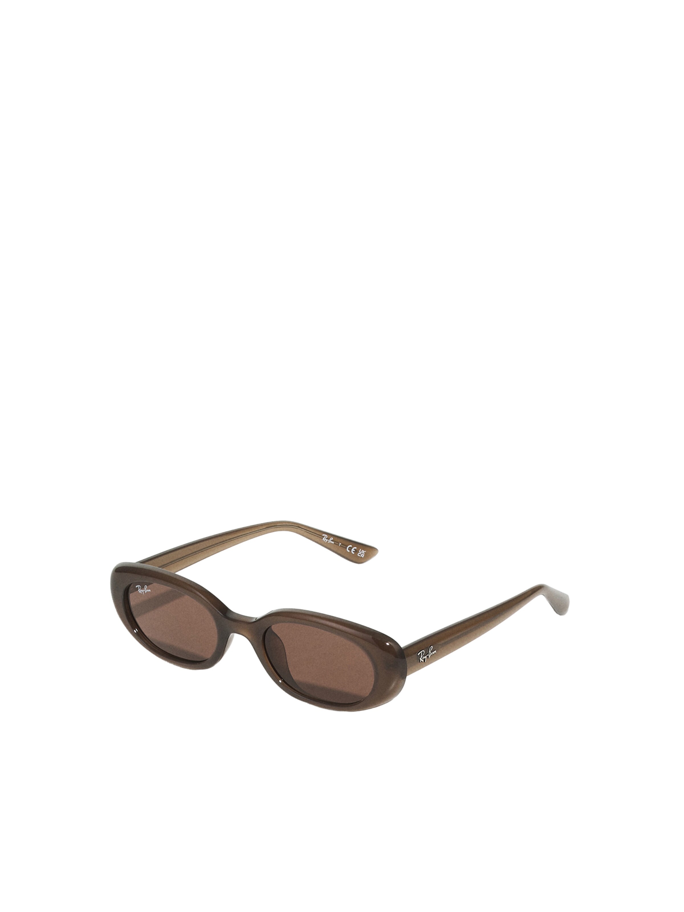 Ray-Ban Sunglasses '0RB4441D' in Onesize in Chocolate, Item view