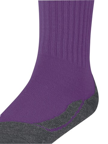 FALKE Socken 'Active Warm'‌‌‌‌‌‌‌ in Lila