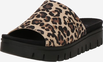 Mule GABOR en beige : devant