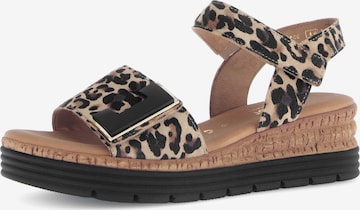 GABOR - Sandália em castanho: frente