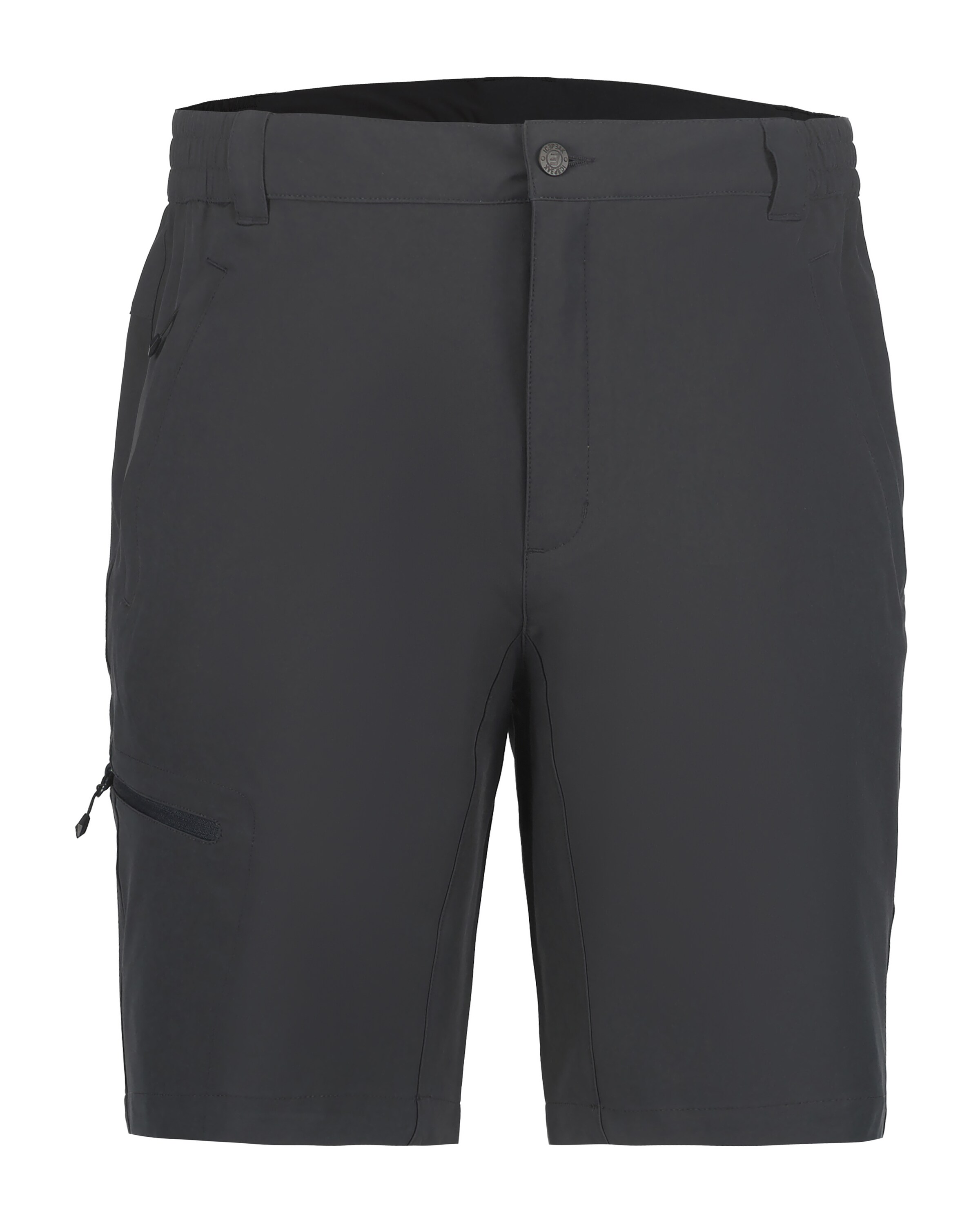 ICEPEAK Regular Outdoor Pants 'Berwyn' in Grey: front