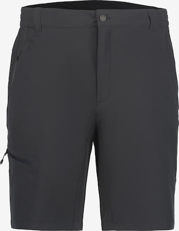 ICEPEAK Regular Outdoor Pants 'Berwyn' in Grey: front