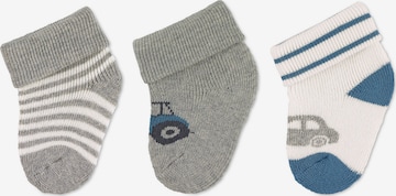 Chaussettes STERNTALER en gris : devant