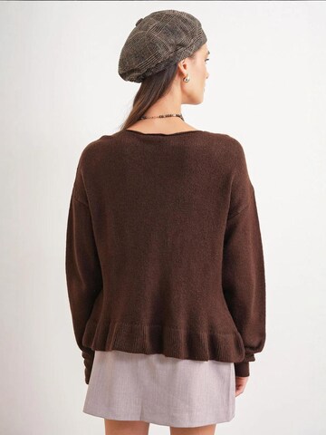 MixRay Pullover 'Pullover'‌‌‌‌ in Braun