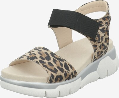 GERRY WEBER SHOES Sandale 'Arzignano' in beige / braun / schwarz, Produktansicht