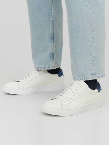 JACK & JONES Sneakers in White | ABOUT YOU