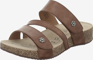 JOSEF SEIBEL Mules 'Tonga 54' in Brown: front