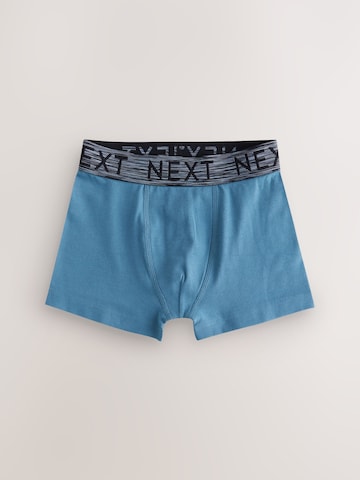 Pantaloncini intimi di Next in colori misti