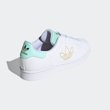 ADIDAS ORIGINALS - Zapatillas deportivas bajas 'Superstar' en blanco