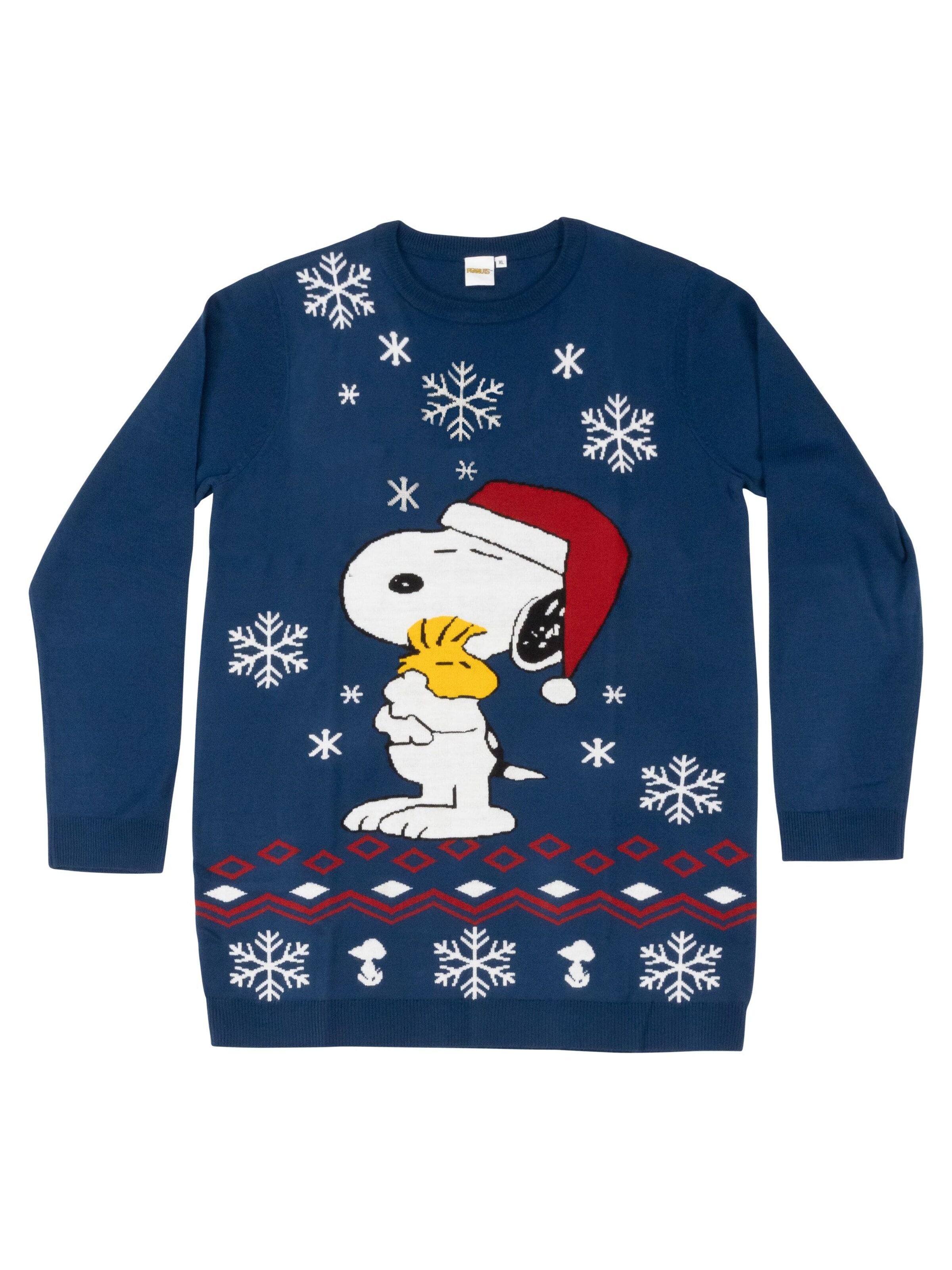 Snoopy & Die Peanuts Strickkleid 'Warm Kisses'‌‌‌‌‌‌‌‌‌ in Blau: Vorderseite
