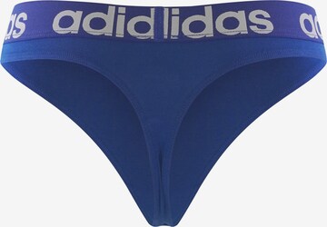 ADIDAS SPORTSWEAR Athletic Underwear ' Realasting Cotton ' in Blue