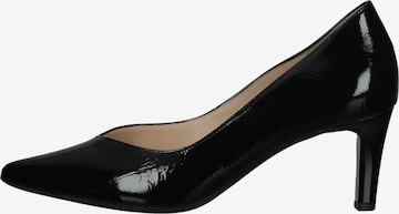 Högl Pumps in Black