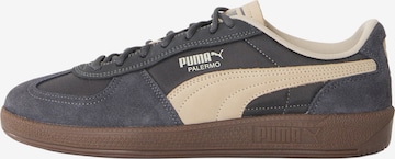 Baskets basses 'Palermo Pop' PUMA en gris : devant