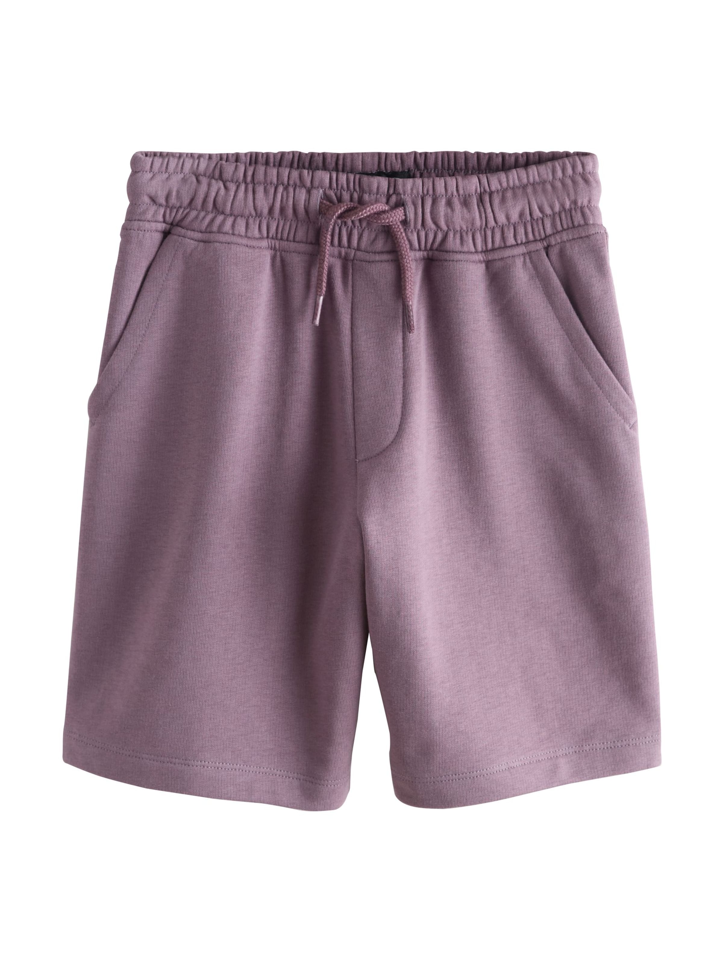 Next Обычный Штаны в Лиловый: спереди