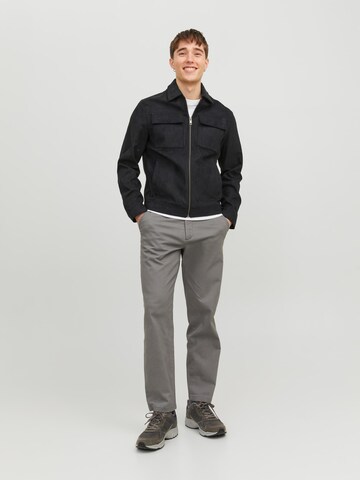 JACK & JONES Regular Chino 'Kane' in Grijs