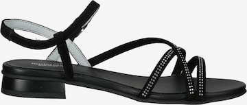 Nero Giardini Strap Sandals in Black