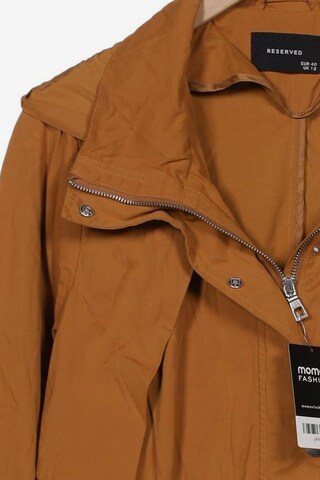 Reserved Jacket & Coat in L in Orange