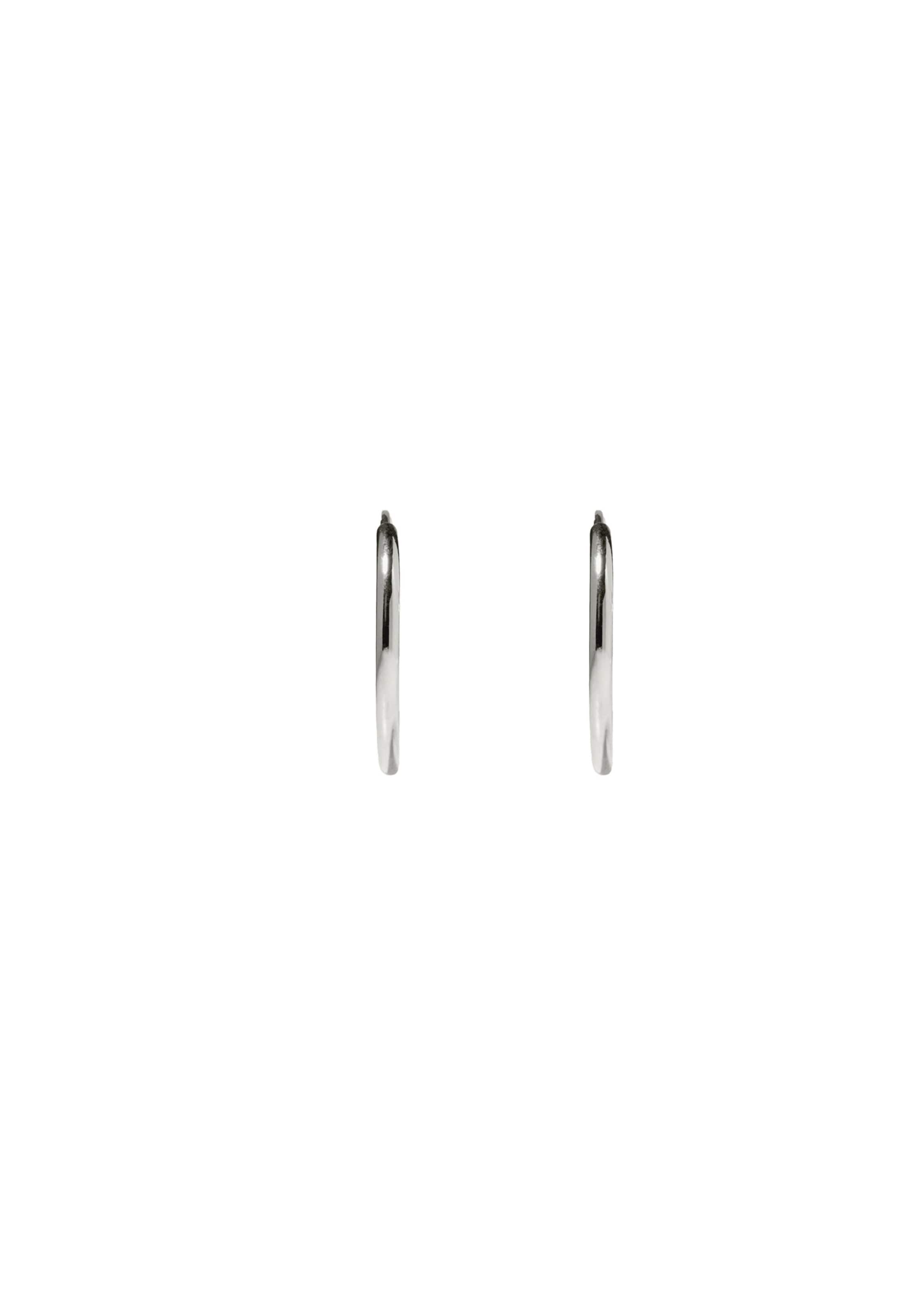 Stilnest Earrings in Silver