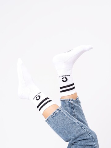 Occulto Athletic Socks 'Ray' in White