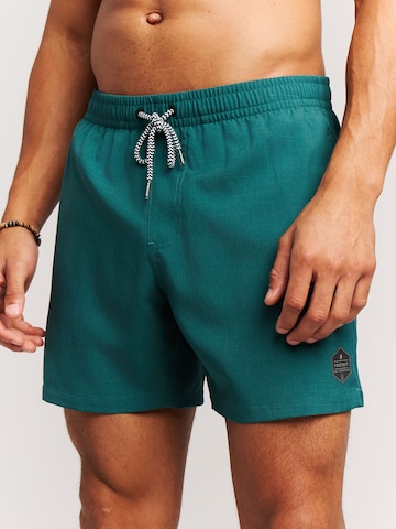 PROTEST Badeshorts 'Davey'‌‌‌‌‌ in Grün