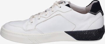 JOSEF SEIBEL Athletic Lace-Up Shoes 'FRED 02' in White