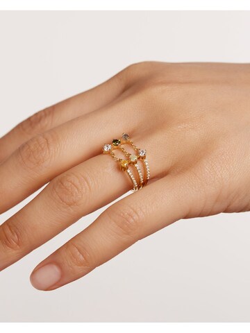 P D PAOLA Ring 'Juno' in Yellow