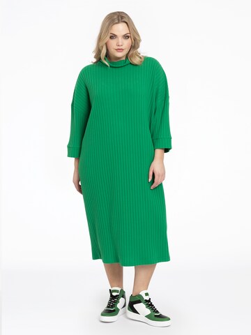 Yoek Dress in Green