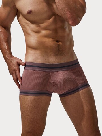 TAUWELL Boxershorts in Gold: Vorderseite