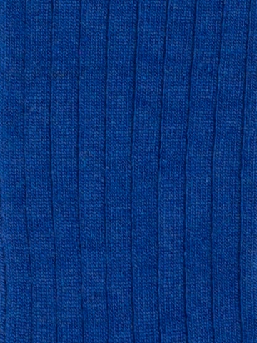 Chaussettes 'Cozy Johanssons' DillySocks en mélange de couleurs