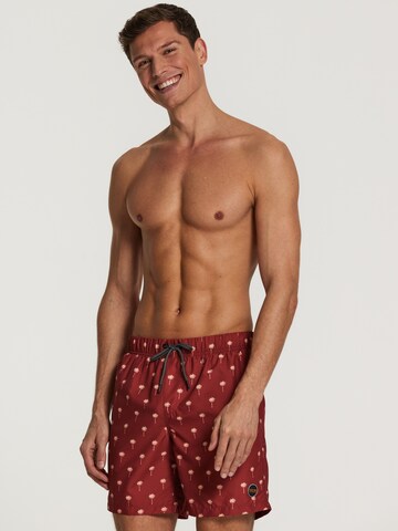 Shorts de bain Shiwi en marron : devant