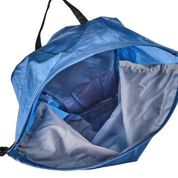 SALEWA Sportrugzak in Blauw