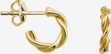 Sofia Milani Ohrringe 'Curved' in Gold: Vorderseite