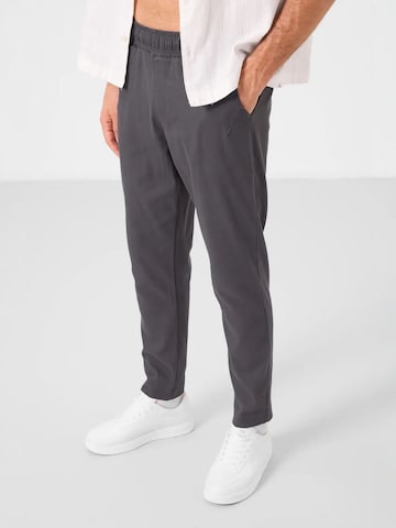 Pantaloni di Tommy Life in grigio: frontale