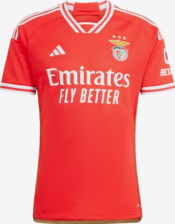 ADIDAS PERFORMANCE Jersey 'Benfica Lissabon 23/24' in Red: front