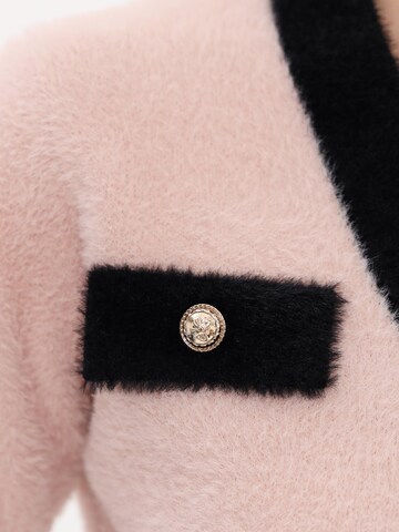 Passioni Knit Cardigan in Pink