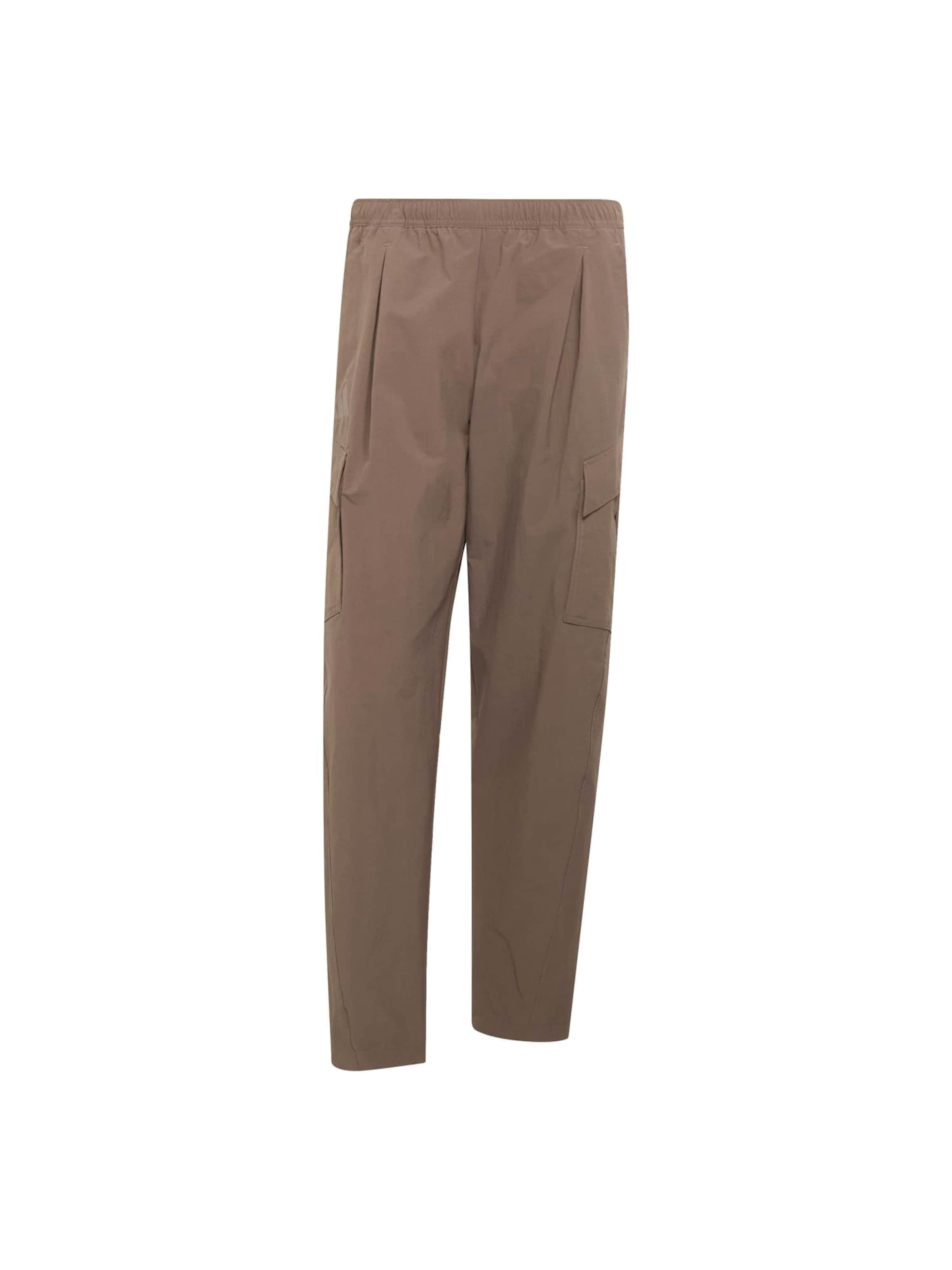 ADIDAS TERREX Szabványos Kültéri nadrágok - barna: elől