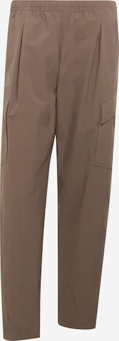 Regular Pantaloni outdoor de la ADIDAS TERREX pe maro: față