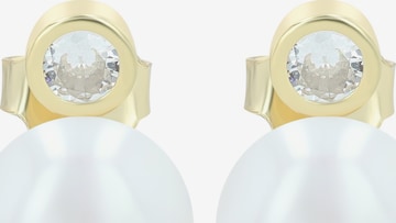 Akzent Ohrringe 'langlebig' in Gold: Vorderseite