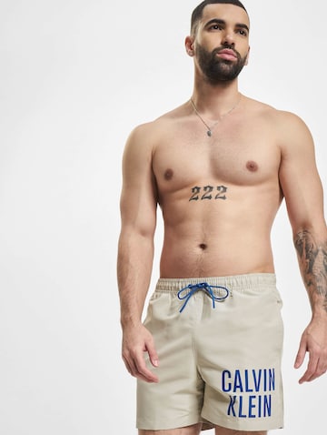 Calvin Klein SwimwearKupaće hlače - siva boja