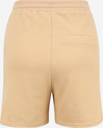 regular Pantaloni 'LYN' di Pieces Tall in marrone